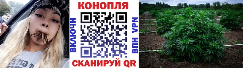 Конопля SATIVA & INDICA  Купить закладки  Городец 